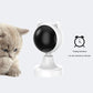 Robot laser pour chat.
