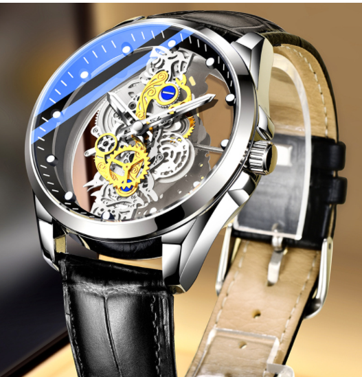 Montre pour Homme